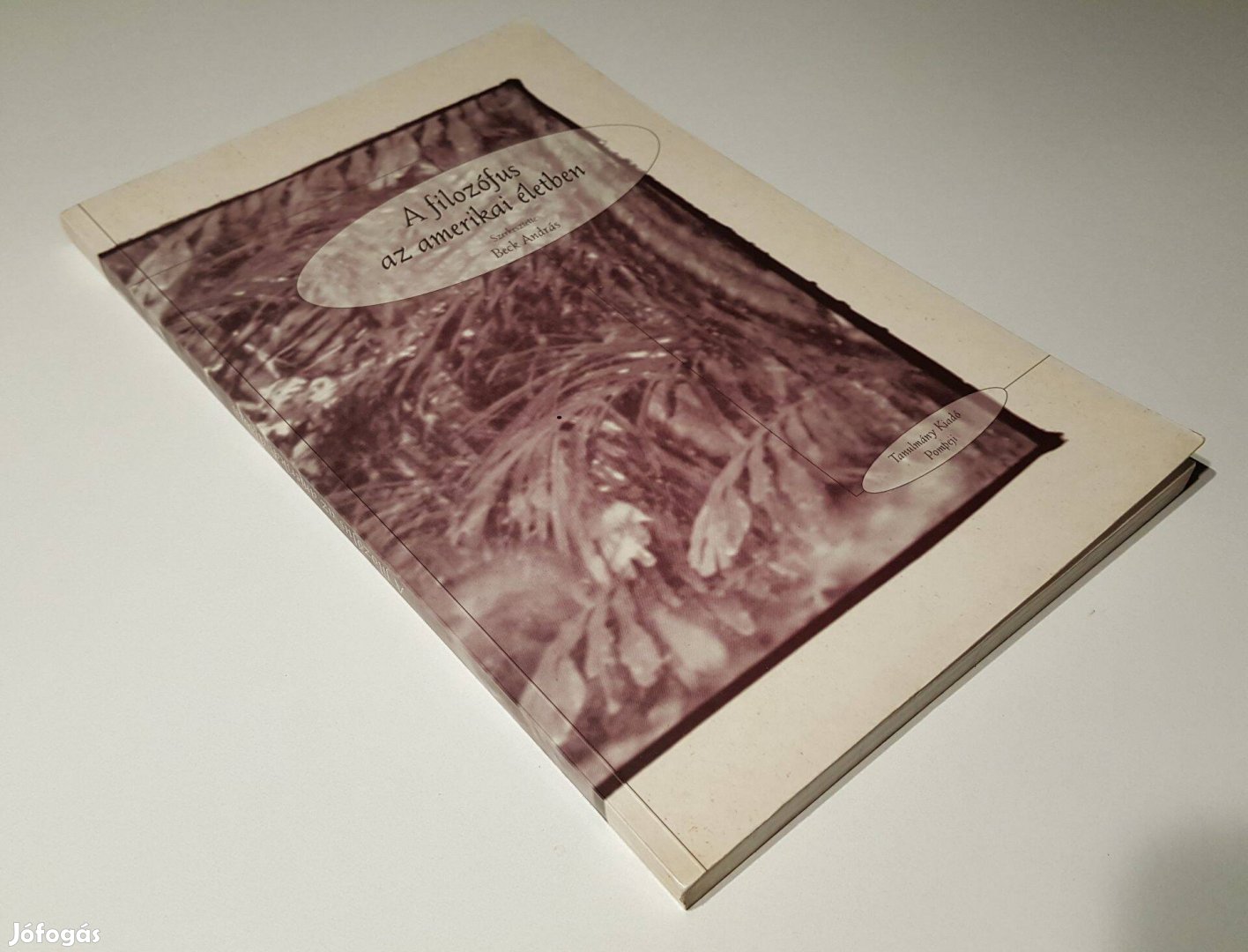 A filozófus az amerikai életben