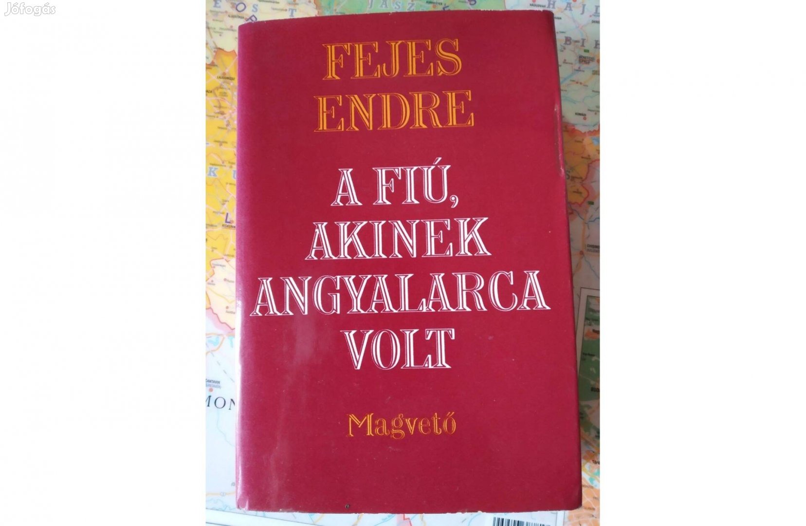 A fiú, akinek angyalarca volt Fejes Endre Magvető Könyvkiadó, 1982