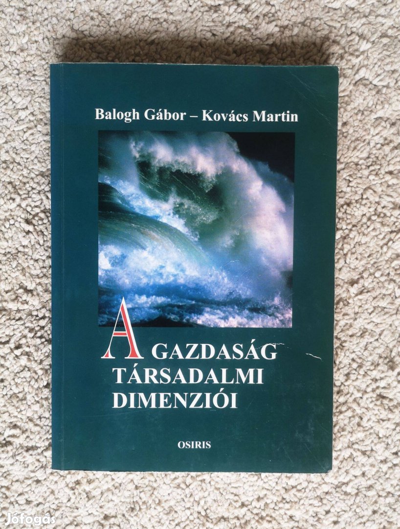 A gazdaság társadalmi dimenziói, Balogh Gábor, Kovács Martin