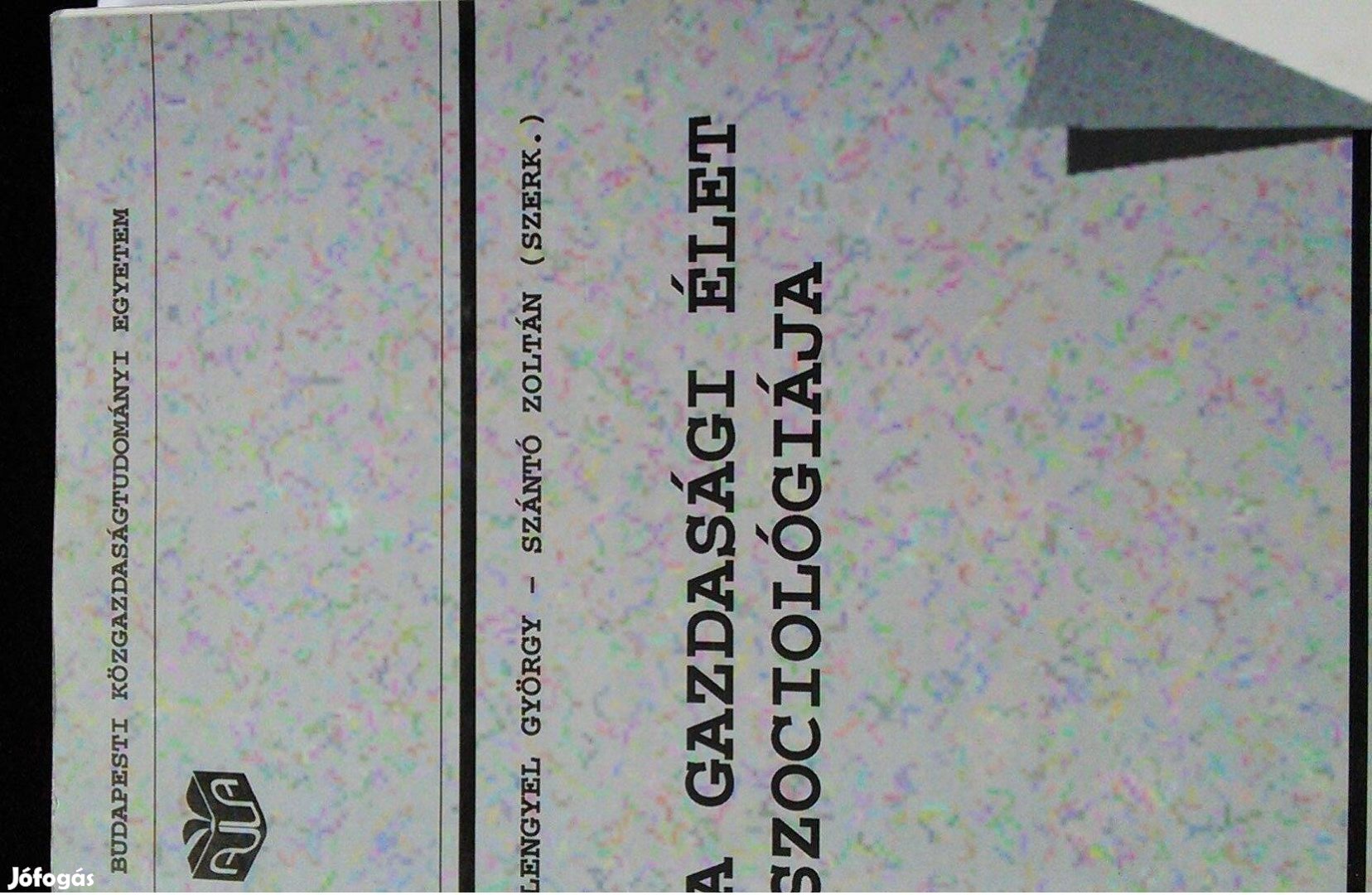 A gazdasági élet szociológiája Lengyel György tankönyv