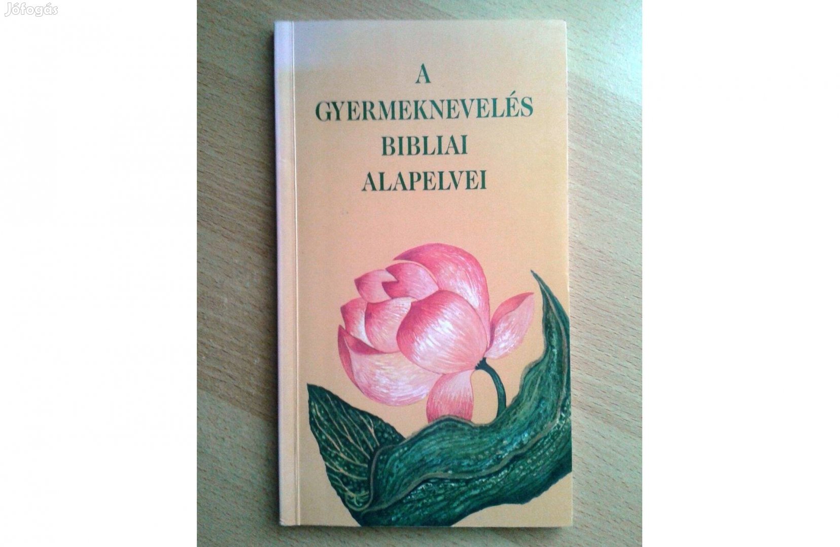 A gyermeknevelés bibliai alapelvei 1 100 Ft