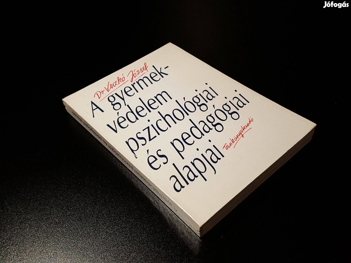 A gyermekvédelem pszichológiai és pedagógiai alapjai Dr. Veczkó József