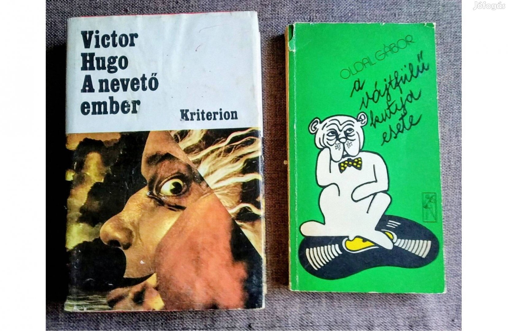 A hanglemez regénye A Vájtfülű kutya esete Sok Mást Is