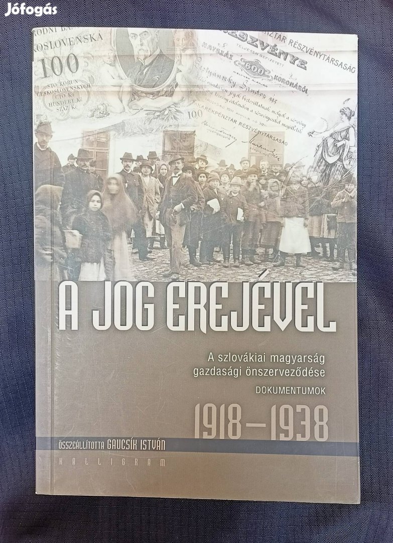 A jog erelyével 1918-1938 A szlovákiai magyarok ....