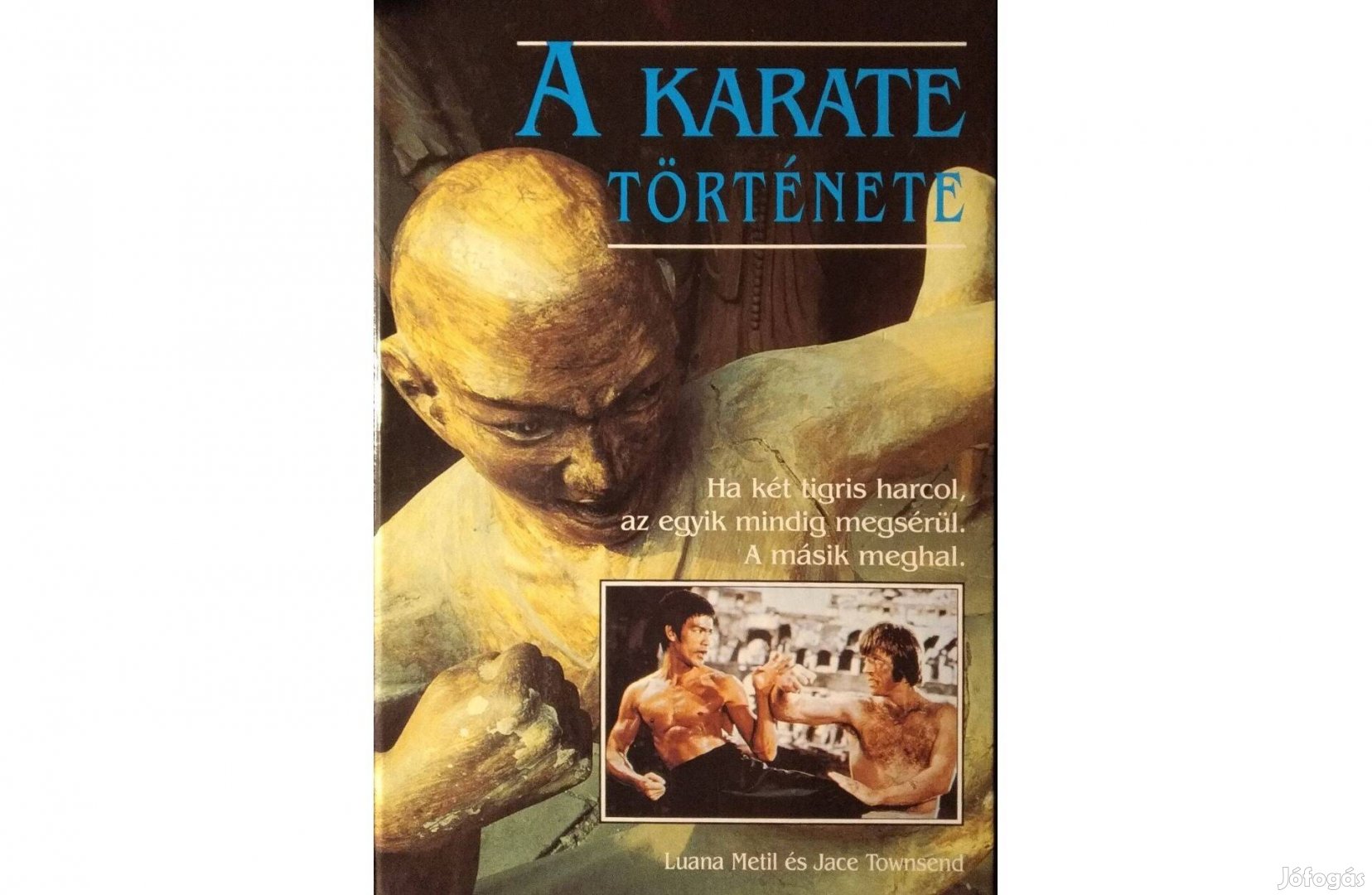 A karate története Luana Metil Jace Townsend