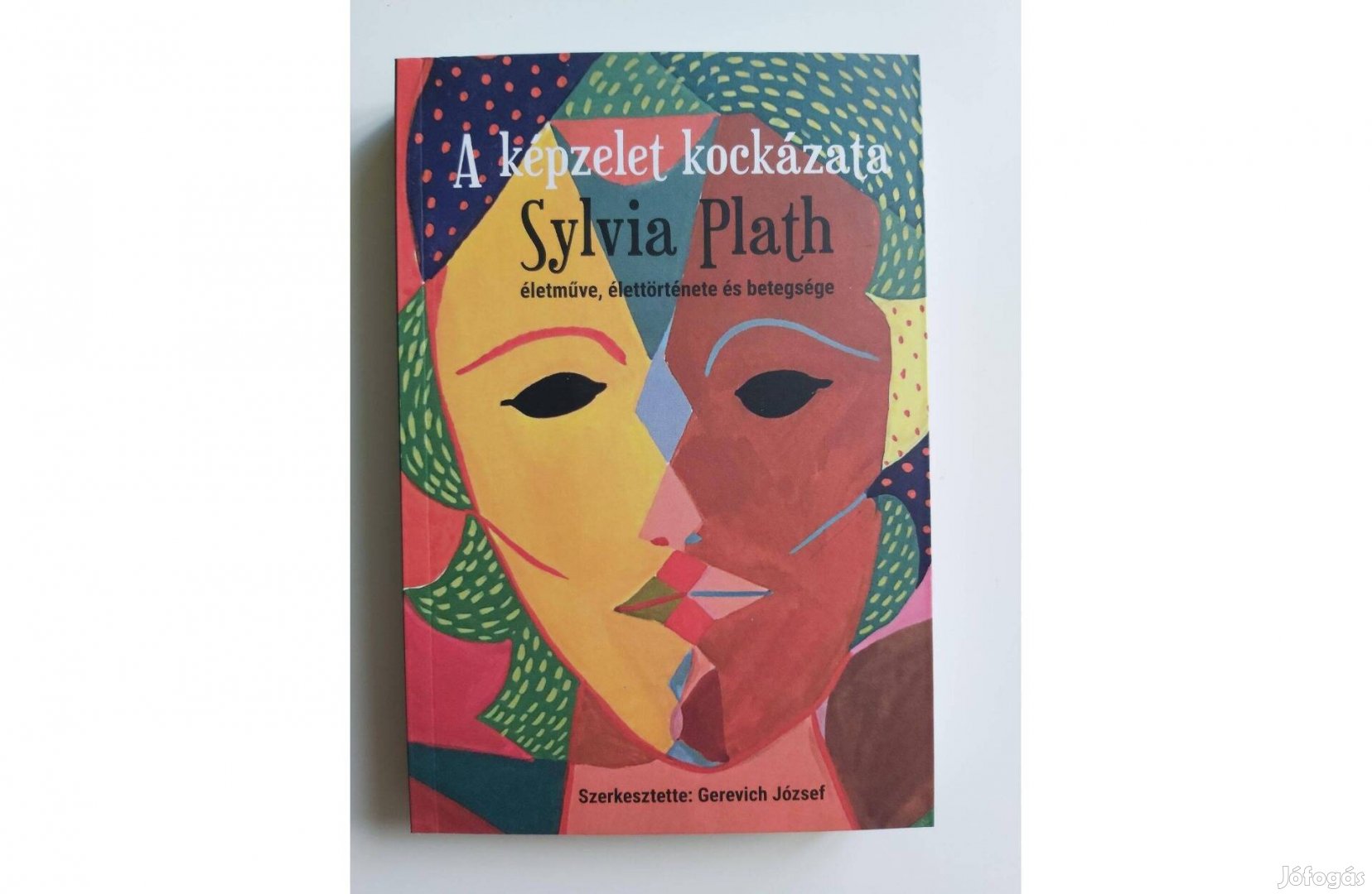 A képzelet kockázata Sylvia Plath életműve, élettörténete