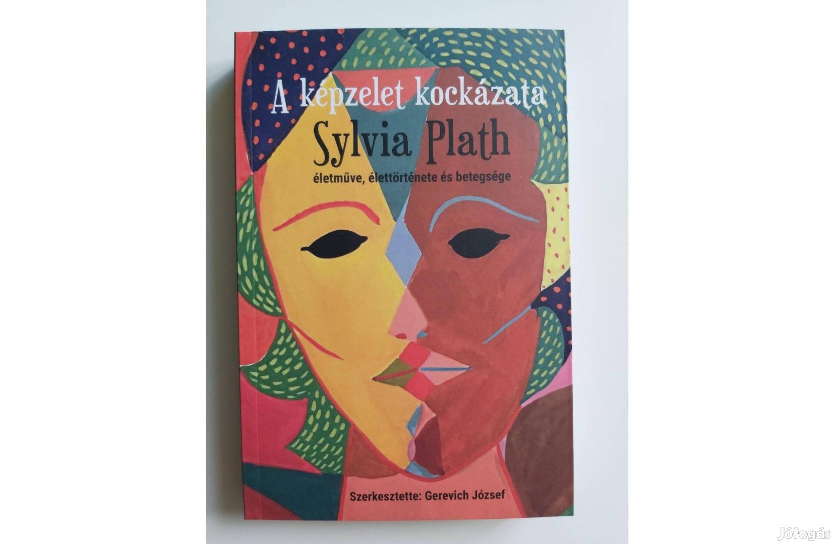 A képzelet kockázata (Sylvia Plath életműve, élettörténete és