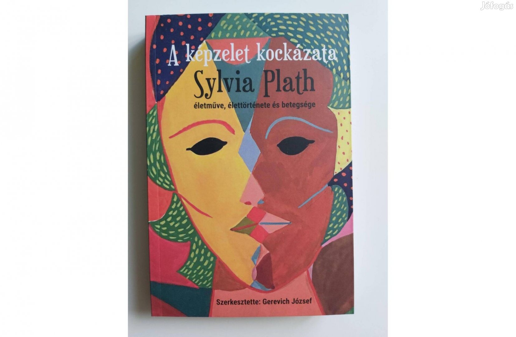 A képzelet kockázata (Sylvia Plath életműve, élettörténete és betegség