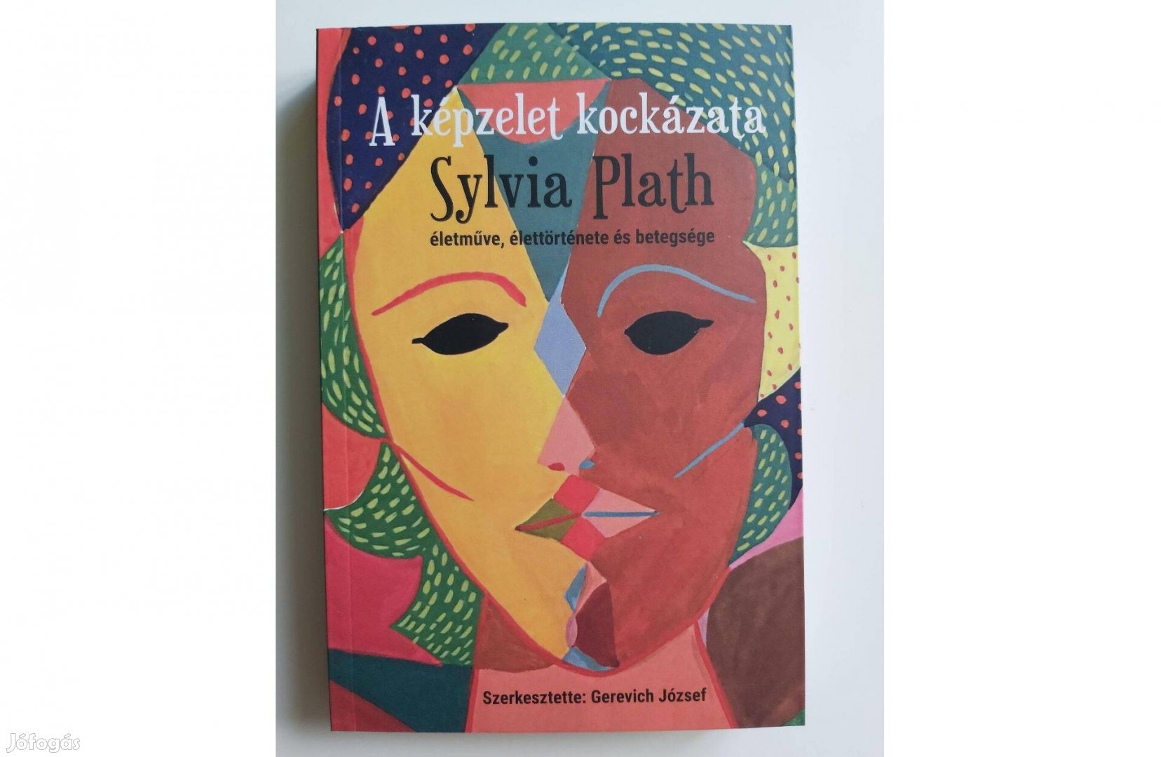 A képzelet kockázata (Sylvia Plath életműve, élettörténete és betegség