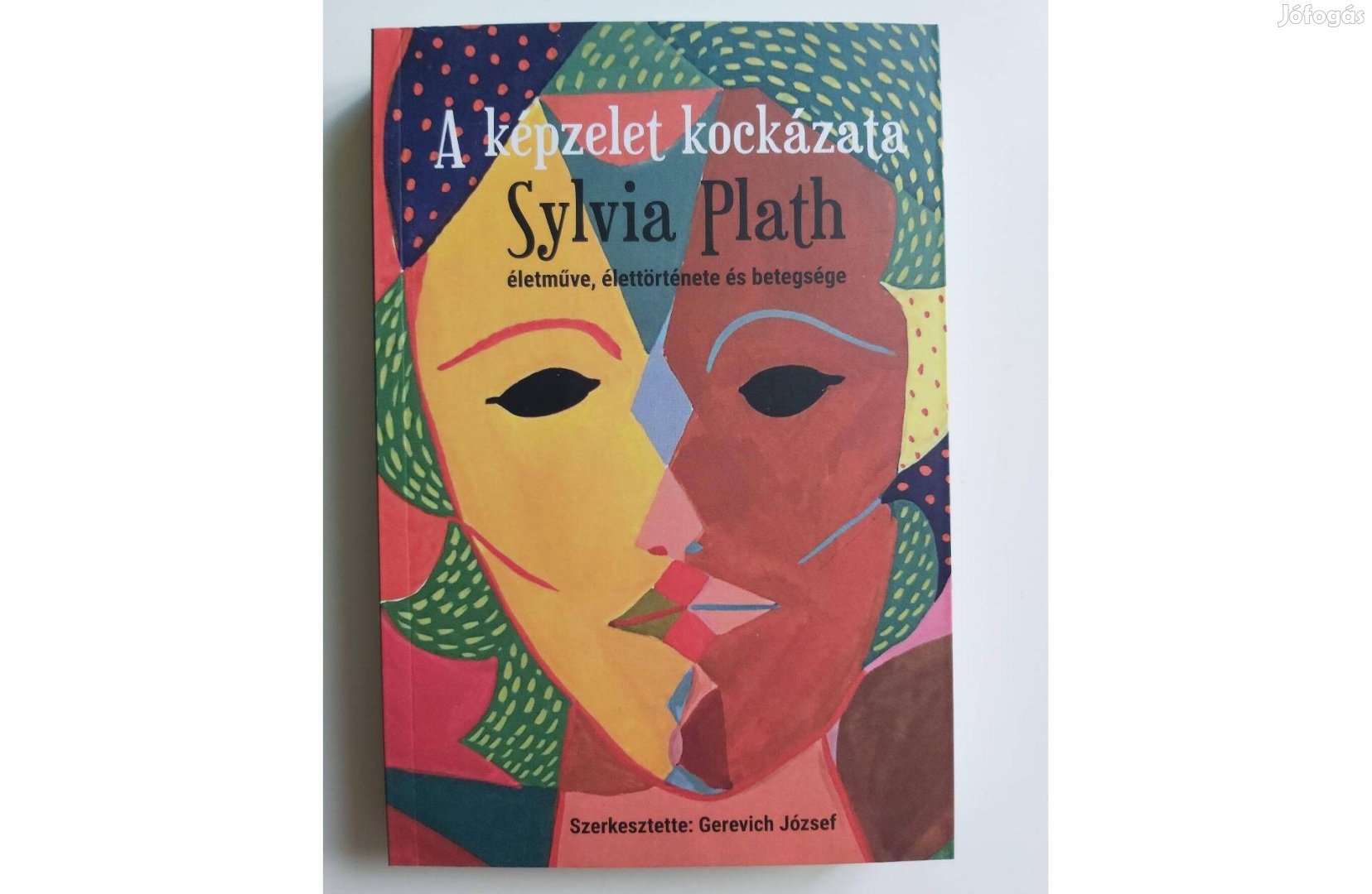 A képzelet kockázata (Sylvia Plath életműve, élettörténete és betegség
