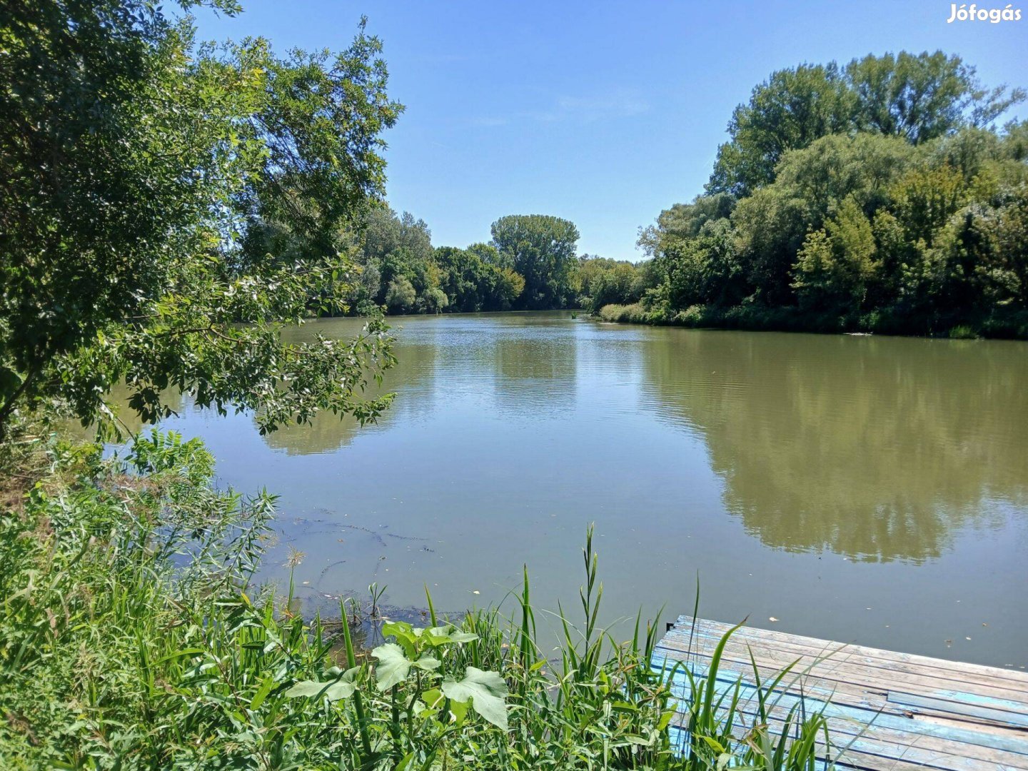 A kerted végéről szeretnél kisétálni a Bodrog partjához? Megtaláltad!