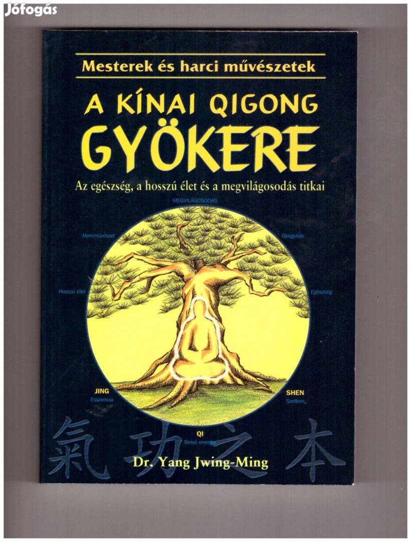 A kínai Qigong gyökere könyv