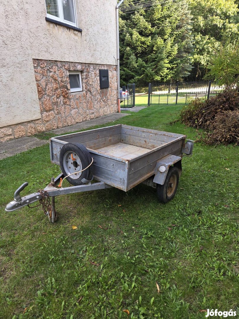 A kis lengyel mindenes társat keres!