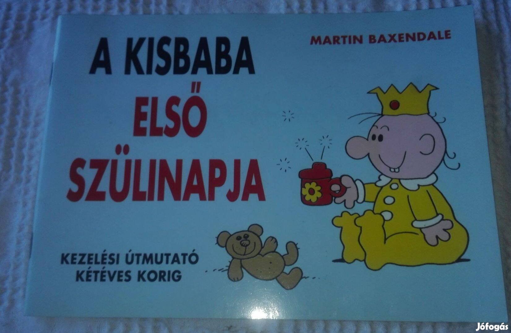 A kisbaba első szülinapja, humoros használati utasítás