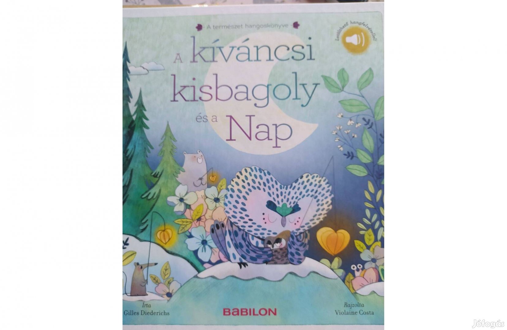 A kíváncsi kisbagoly és Miri 2 mesekönyv ovisoknak