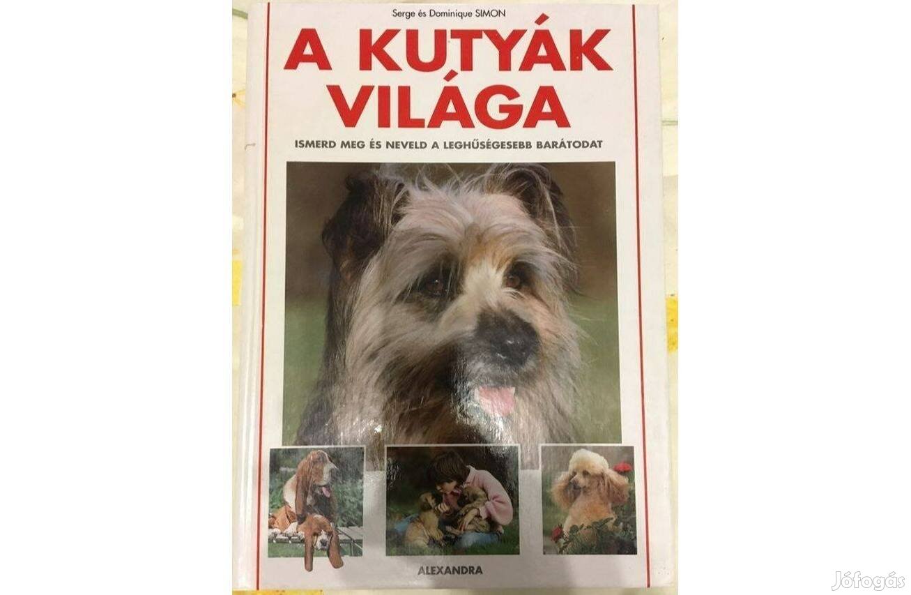 A kutyák világa könyv eladó