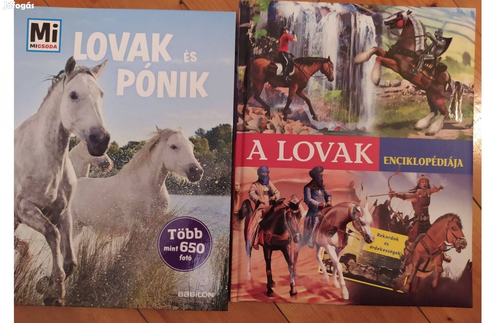 A lovak enciklopédiája + Mi Micsoda: Lovak és pónik (2 könyv)