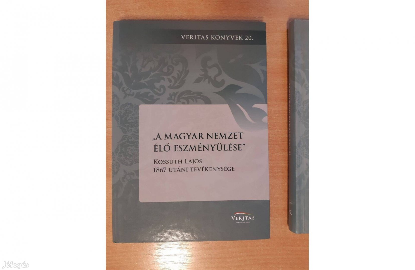 A magyar nemzet élő eszményülése - Kossuth Lajos 1867 utáni tevékenysé