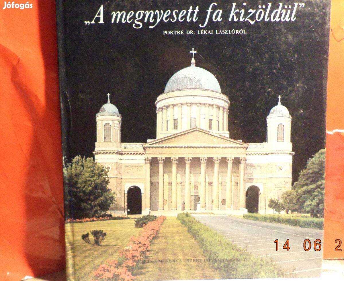 A megnyesett fa kizöldűl