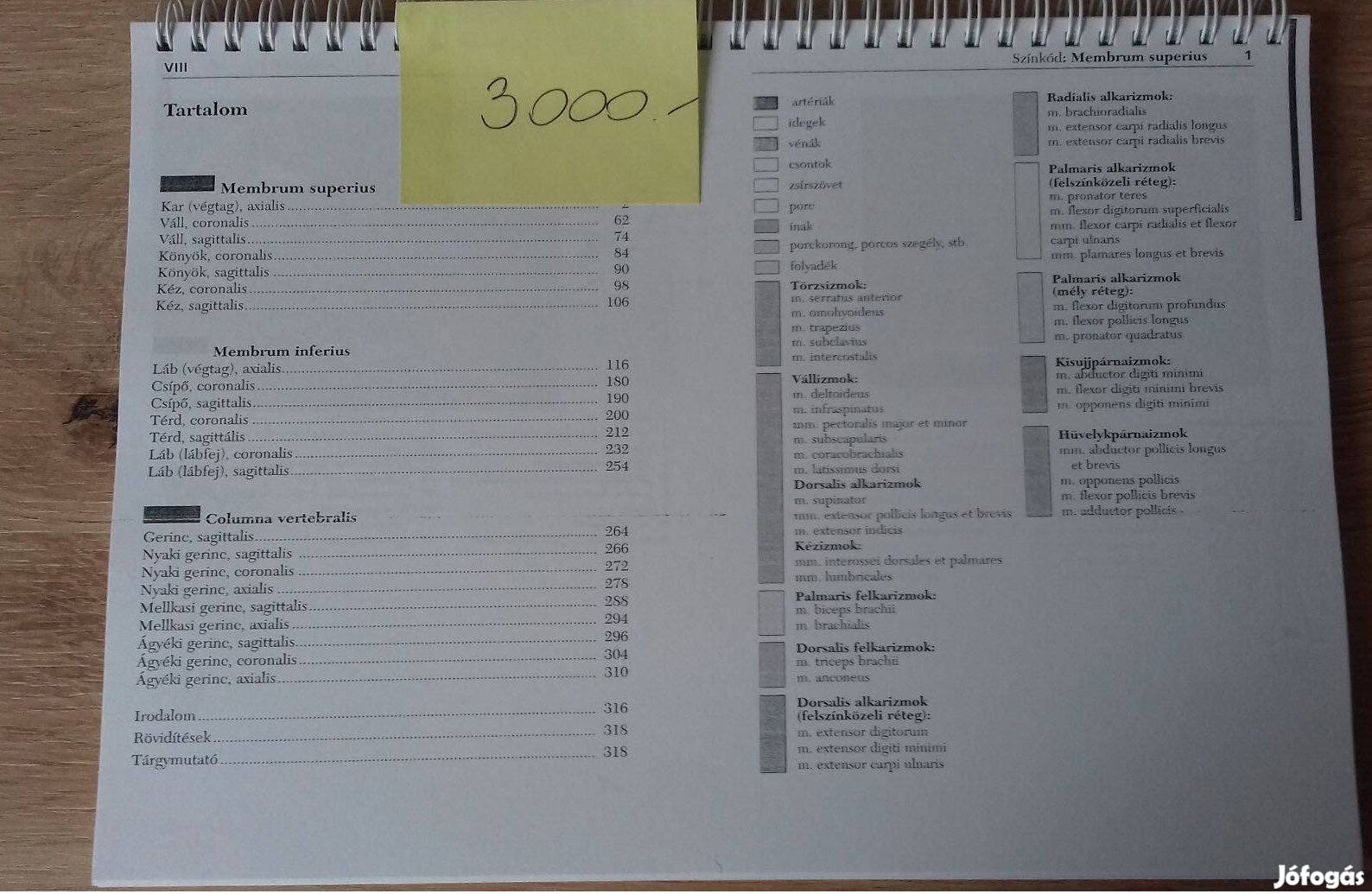 A metszeti anatómia zsebatlasza III