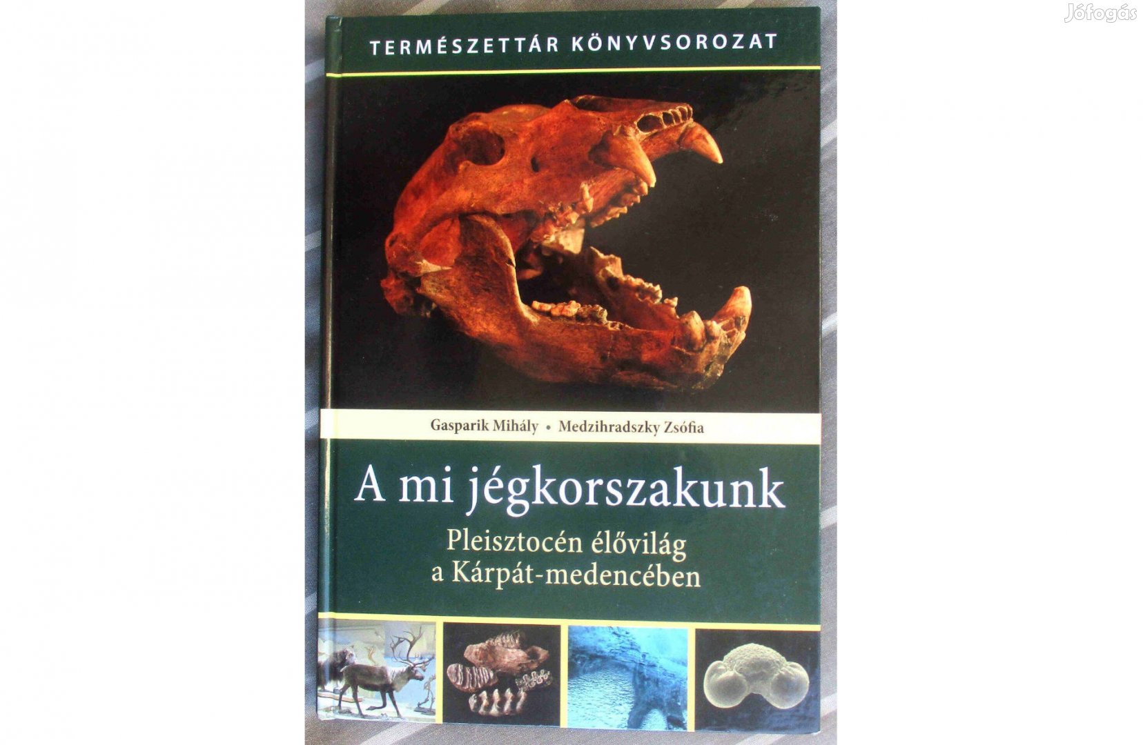 A mi jégkorszakunk - Pleisztocén élővilág a Kárpát-medencében
