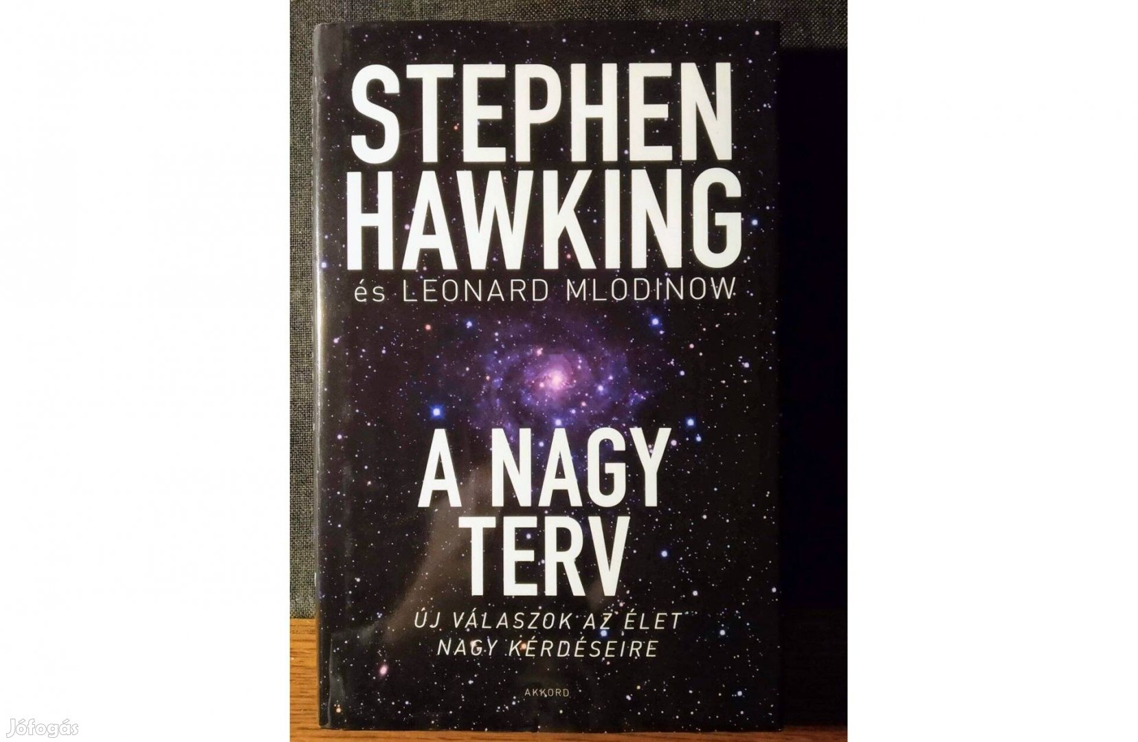 A nagy terv Stephen Hawking Leonard Mlodinow