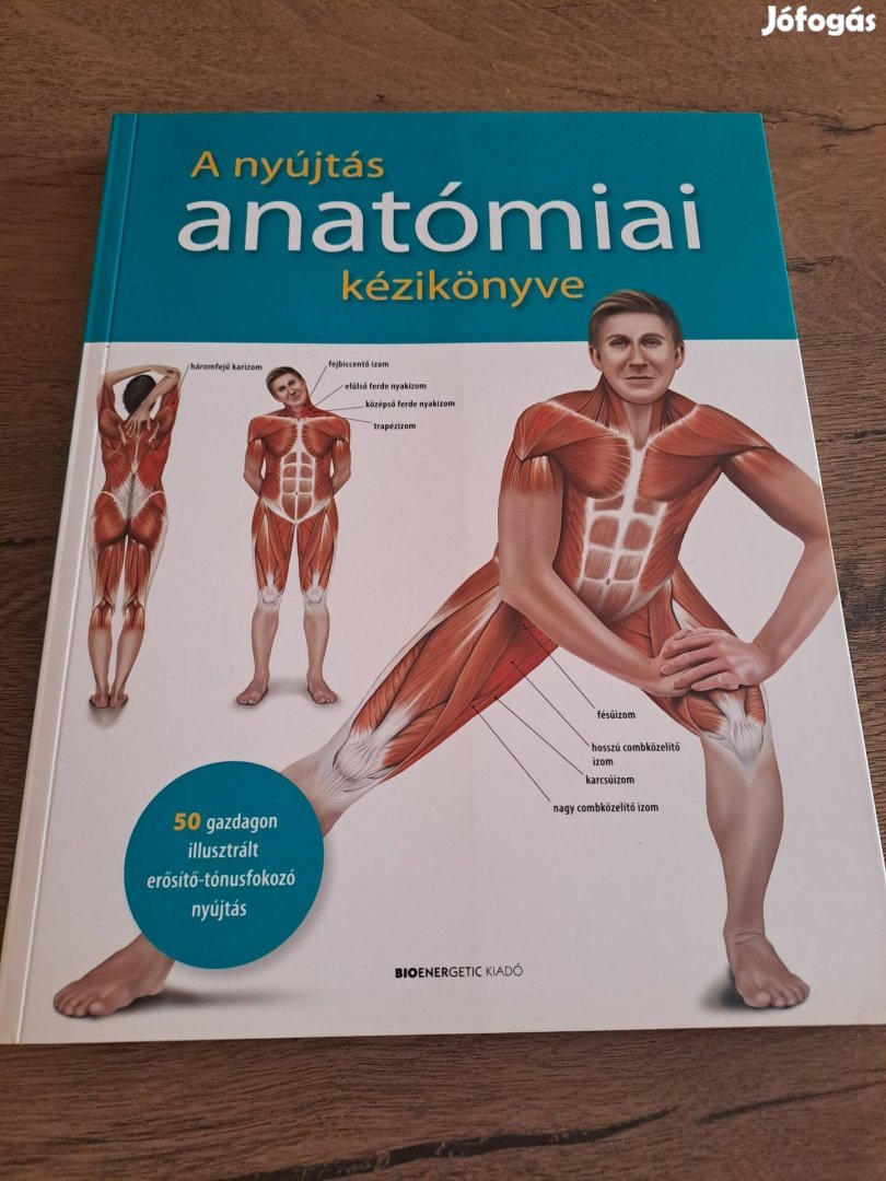 A nyújtás anatómiai kézikönyve