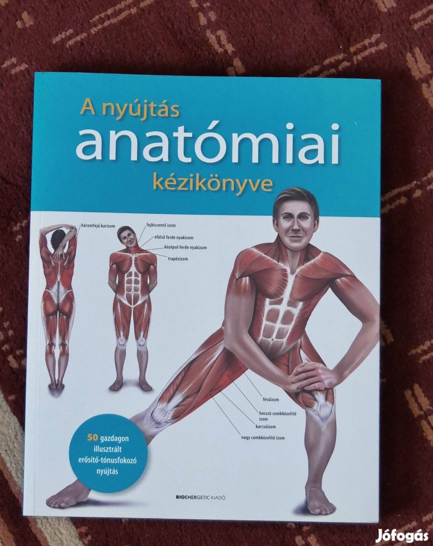 A nyújtás anatómiai kézikönyve - Prof. dr. Ken Ashwell