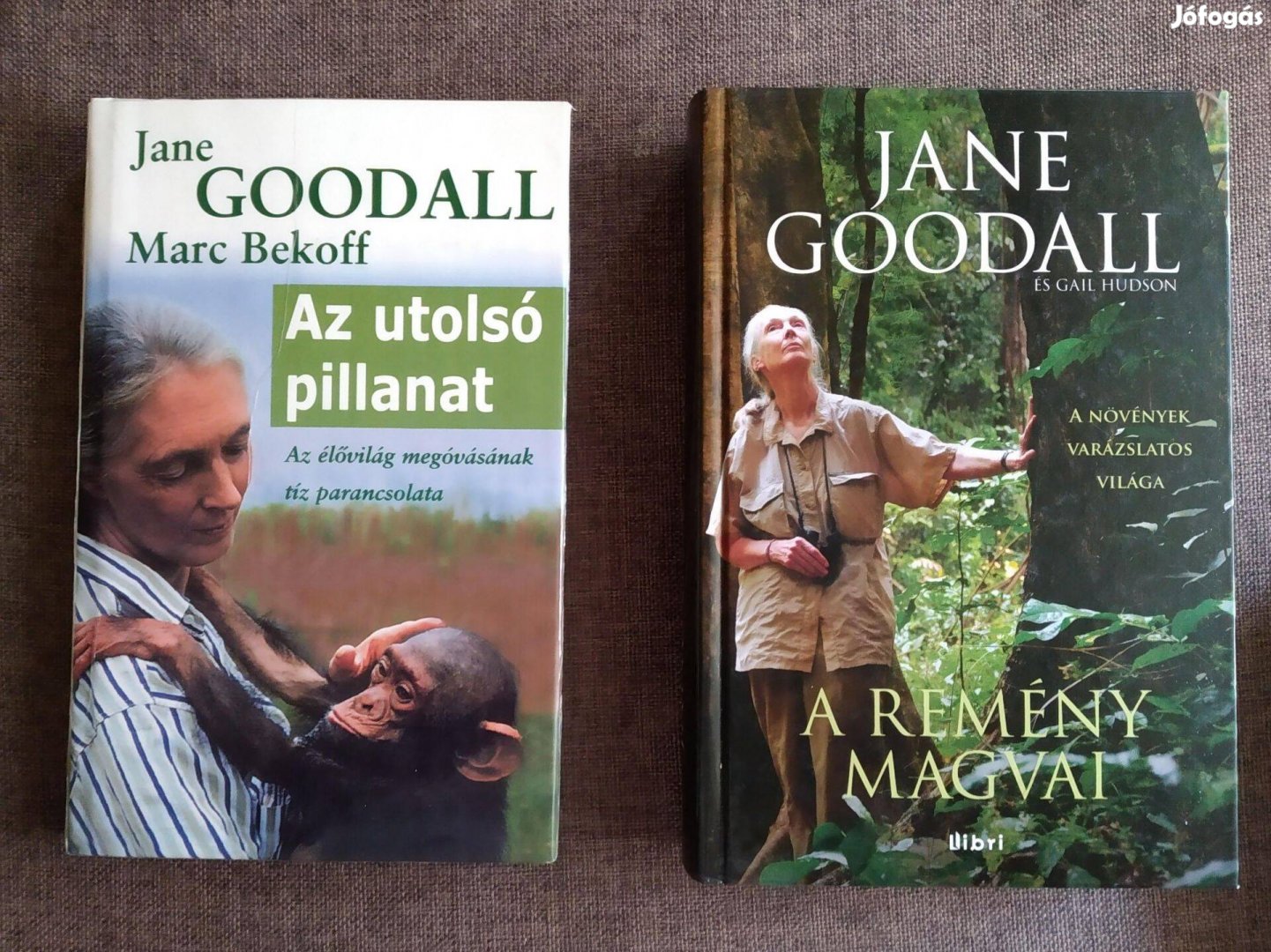 A remény magvai Az utolsó pillanat Jane Goodall