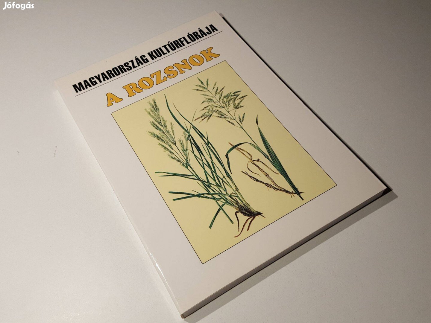A rozsnok - (Bromus L.) fajok - Magyarország kultúrflórája