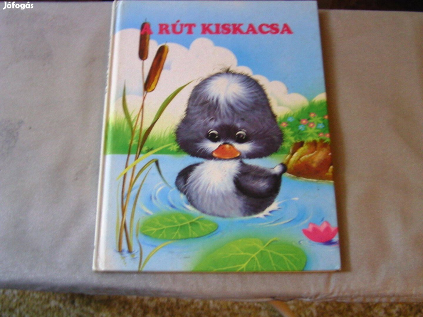 A rút kiskacsa c. könyv