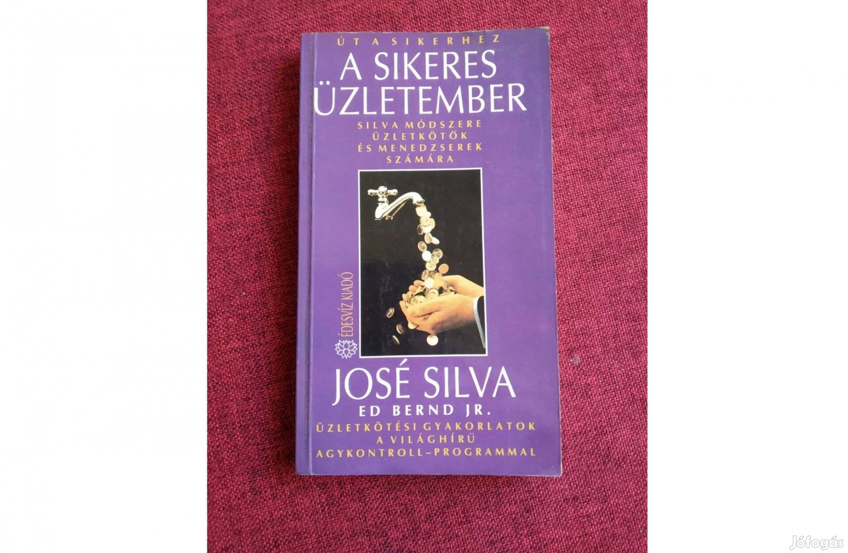 A sikeres üzletember Silva