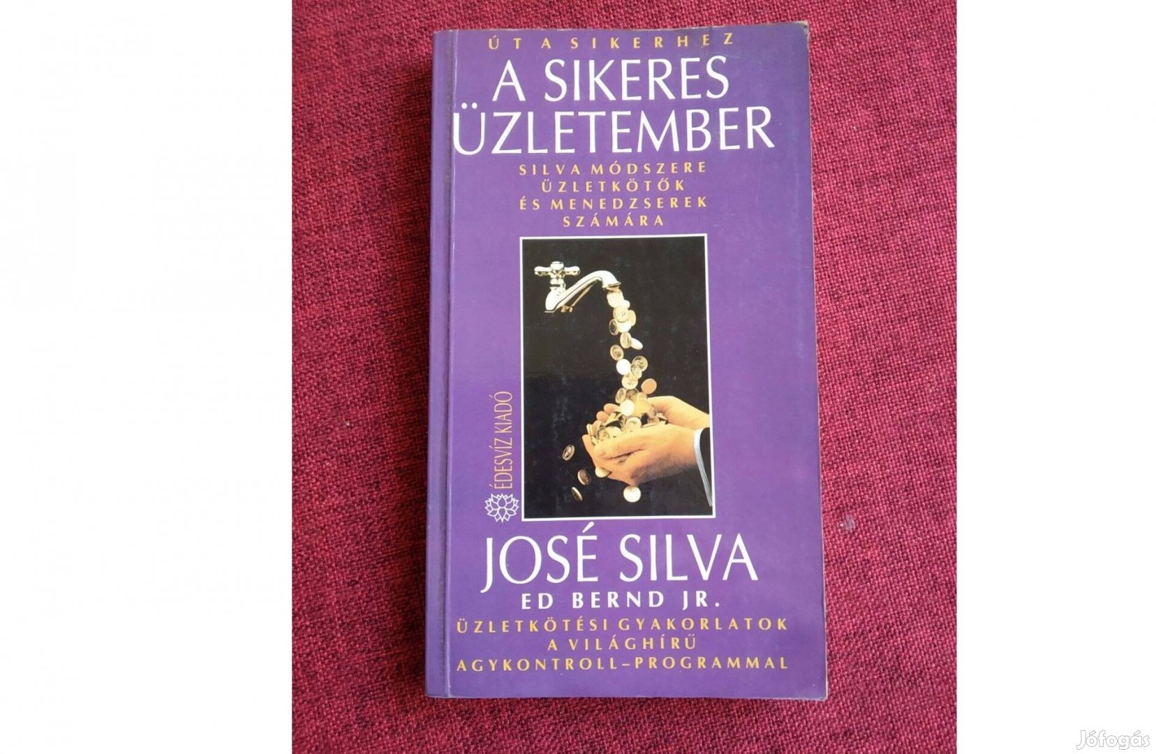 A sikeres üzletember Silva olvasatlan