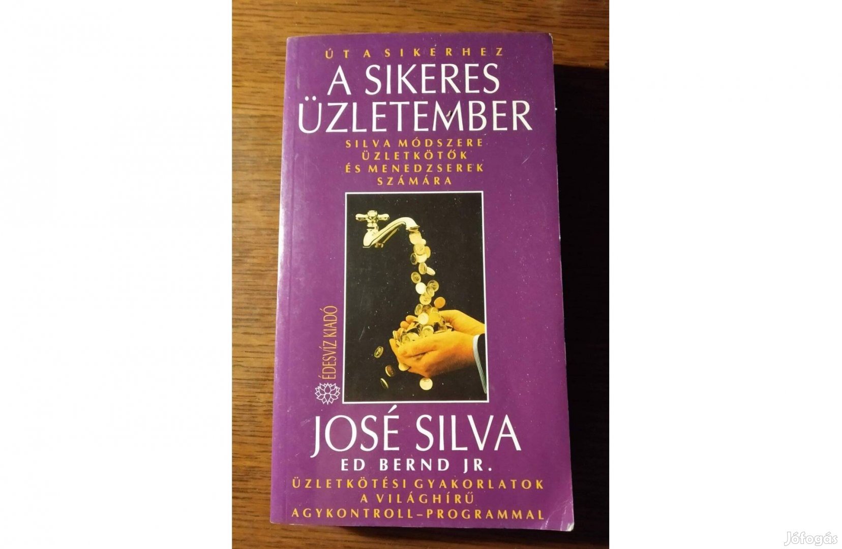 A sikeres üzletember Silva olvasatlan