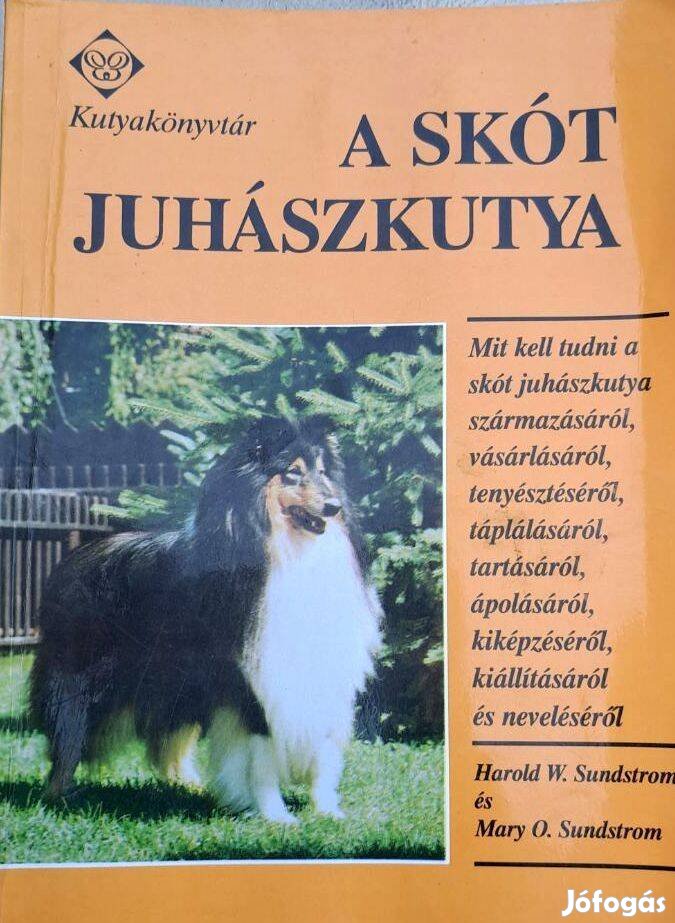 A skót juhászkutya