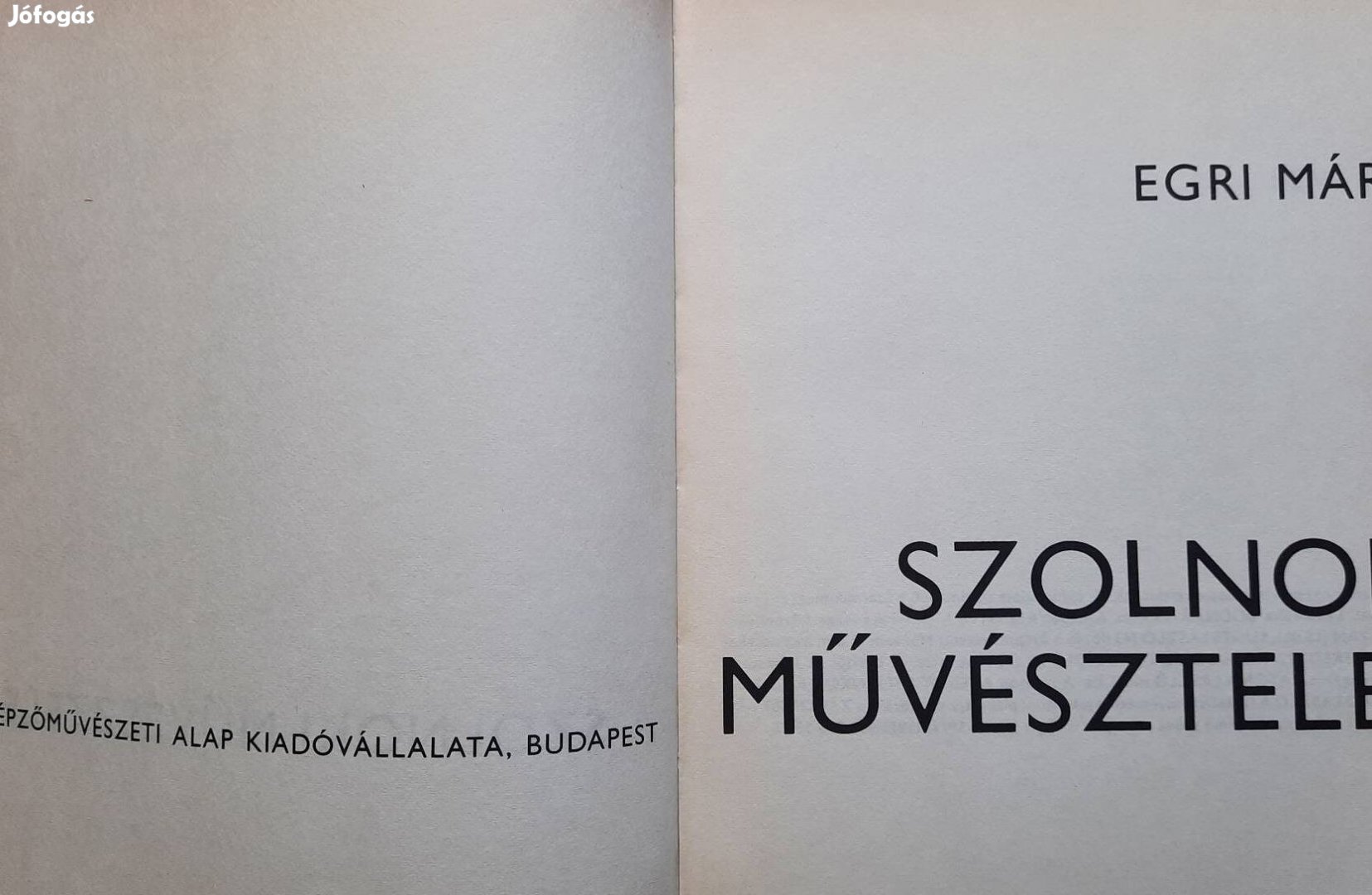 A szolnoki művésztelep című könyv eladó