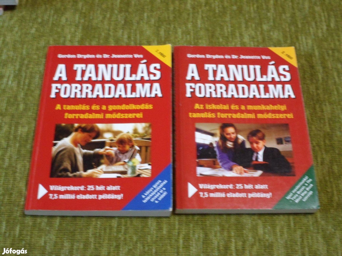 A tanulás forradalma - A tanulás és gondolkodás forradalmi módszerei