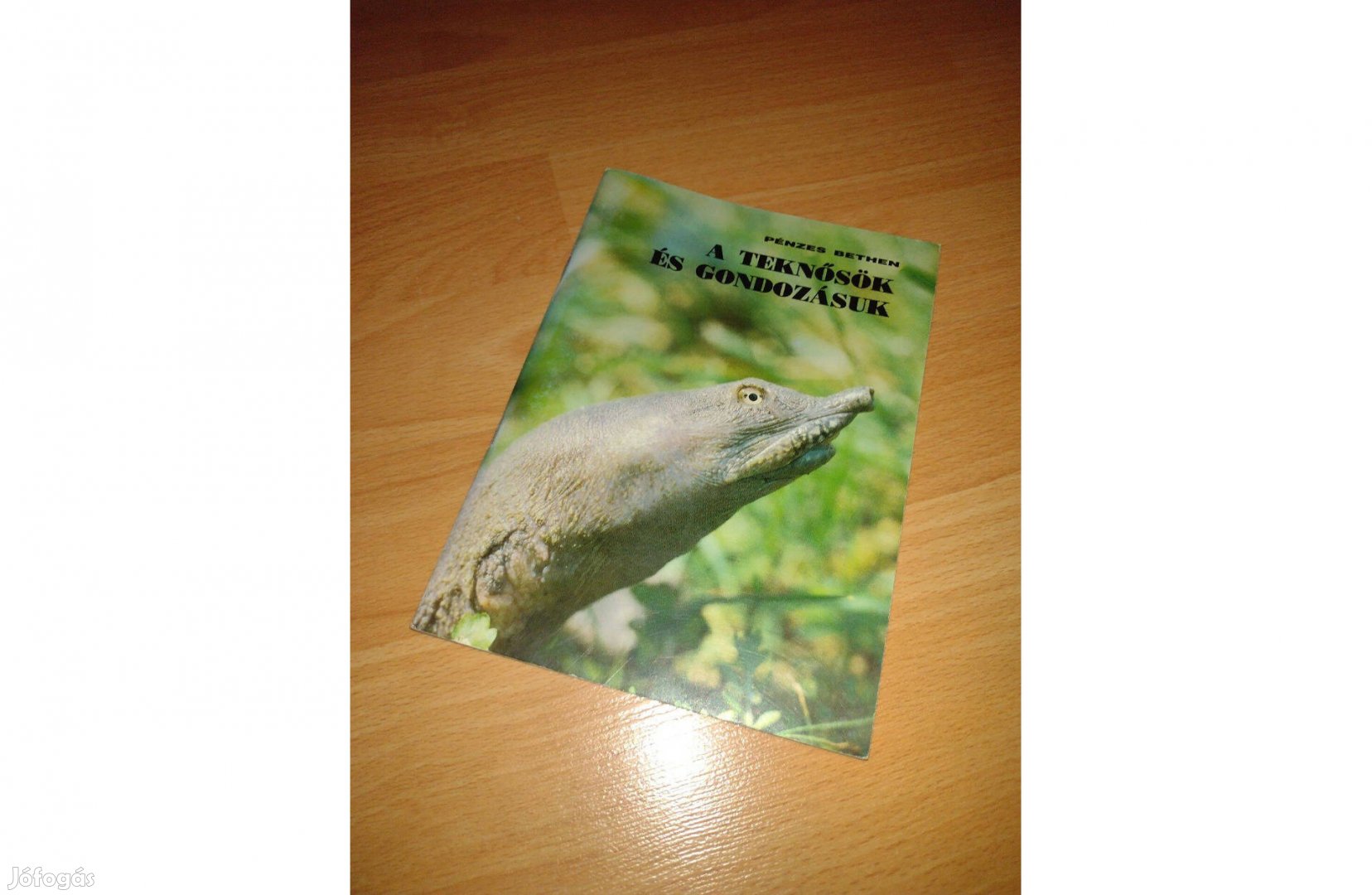 A teknősök és gondozásuk könyv