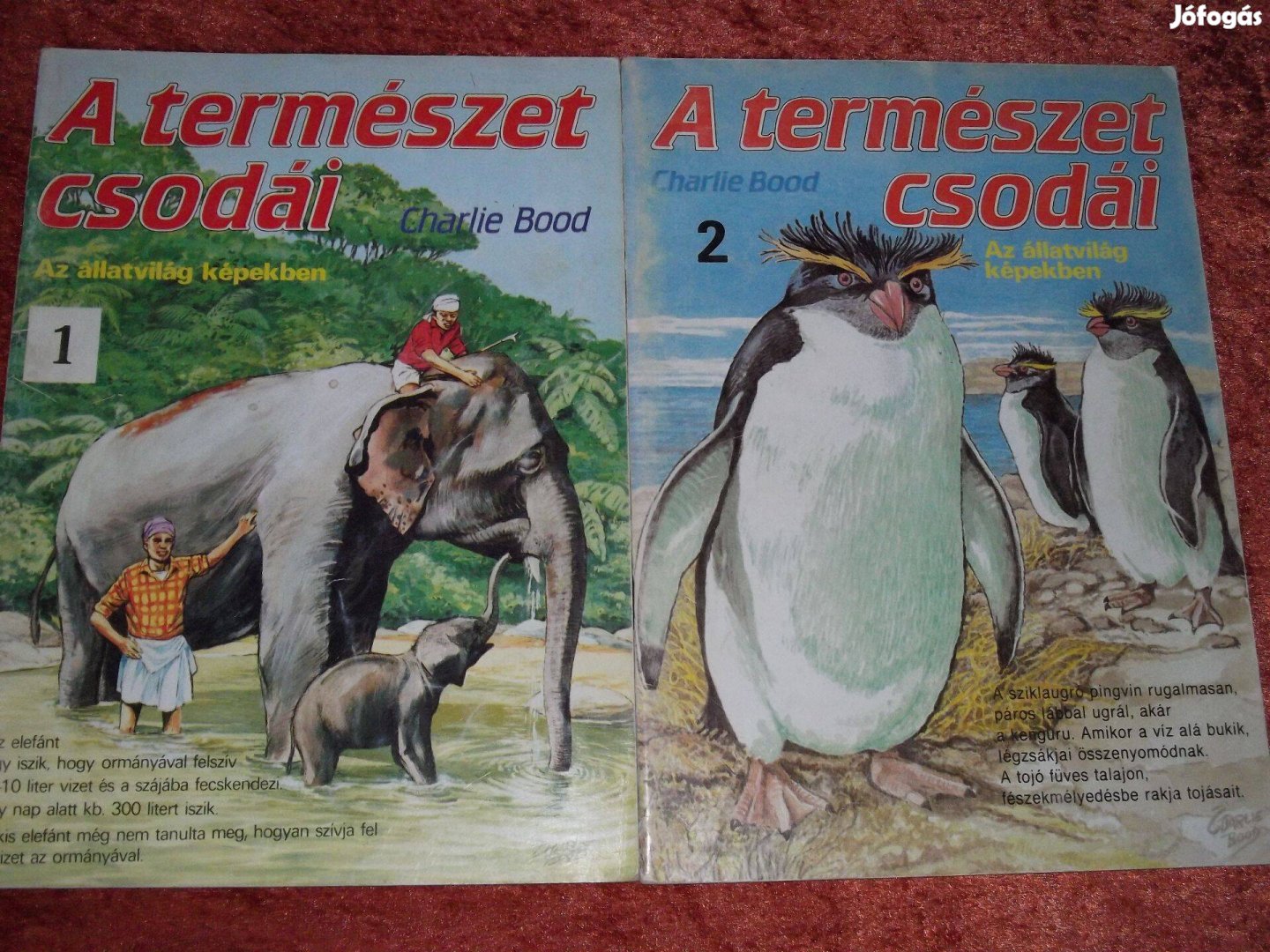 A természet csodái