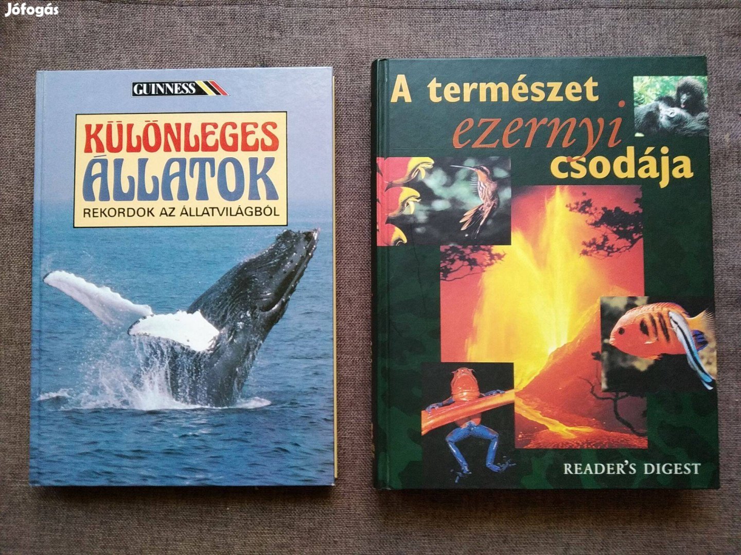A természet ezernyi csodája Különleges állatok újszerű