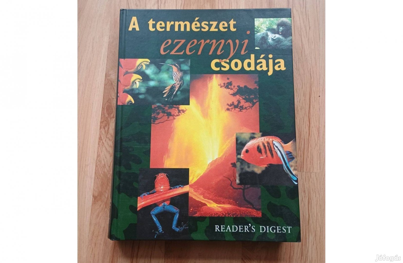 A természet ezernyi csodája - ismeretterjesztő könyv