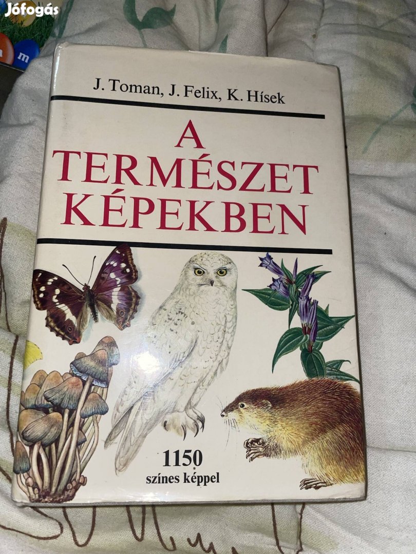 A természet képekben 