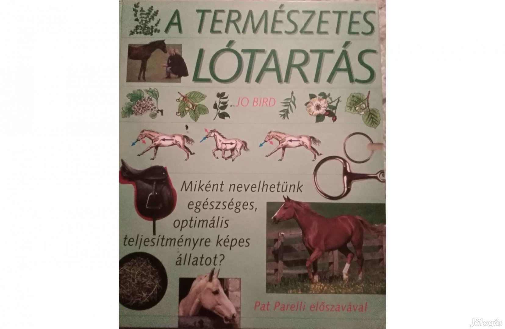 A természetes lótartás