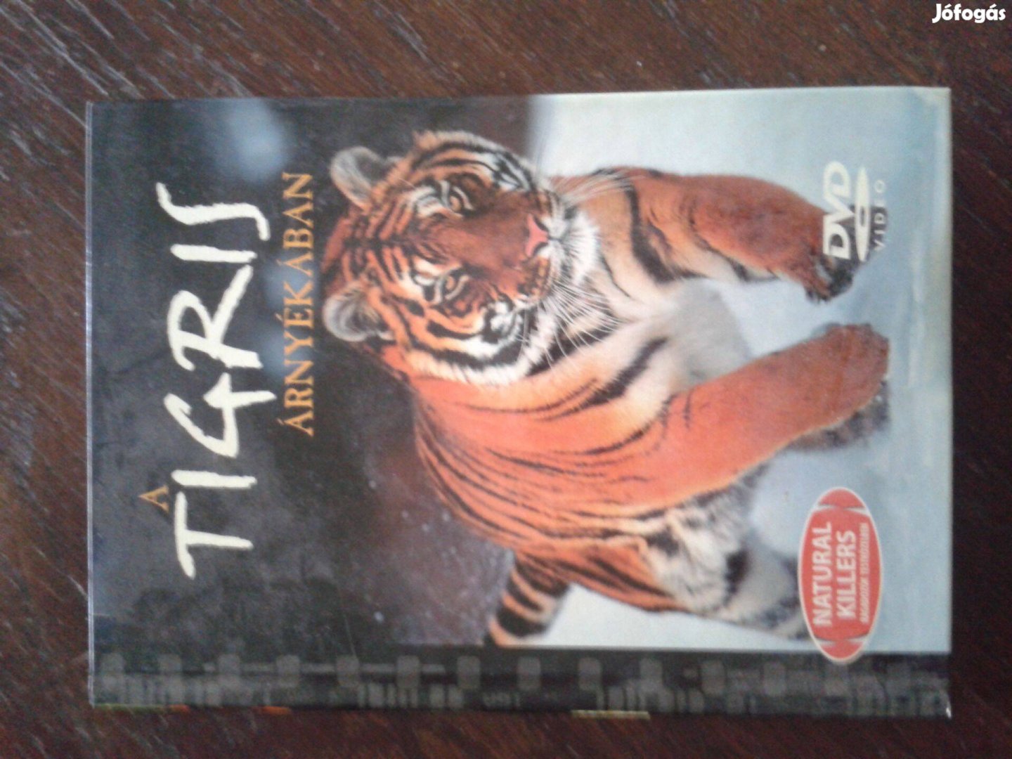 A tigris árnyékában DVD