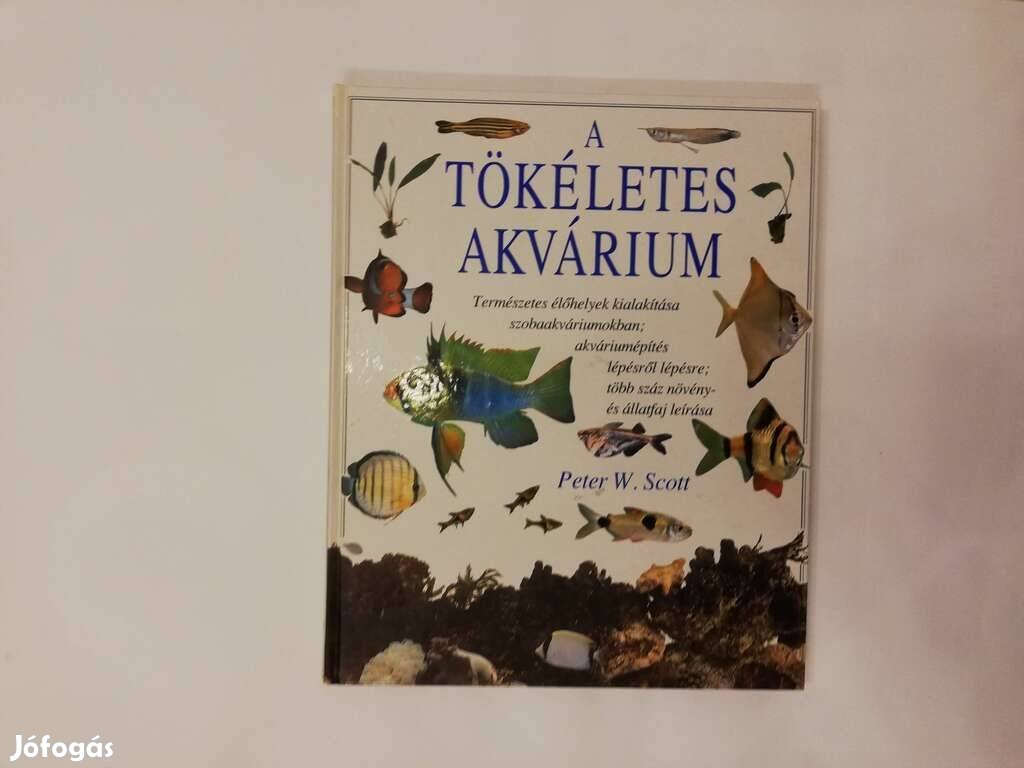 A tökéletes akvárium