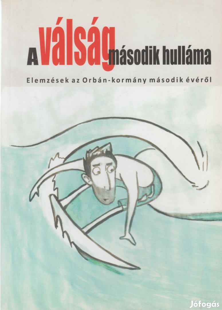 A válság második hulláma - Elemzések az Orbán-kormány második évéről