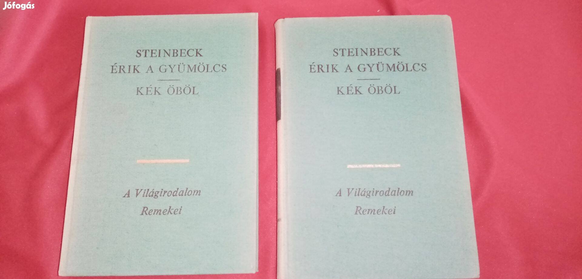 A világirodalom remekei : Steinbeck : Érik a gyümölcs / Kék öböl