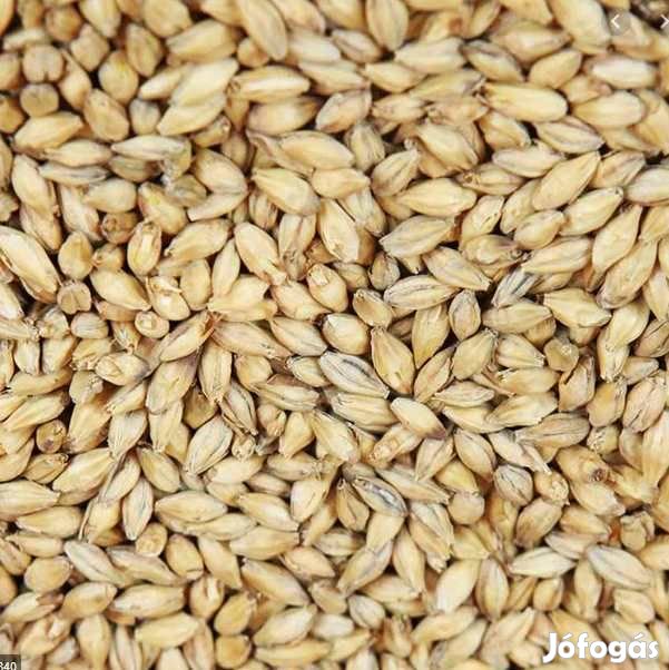Abbey Malt EBC 40  1kg  (436 )