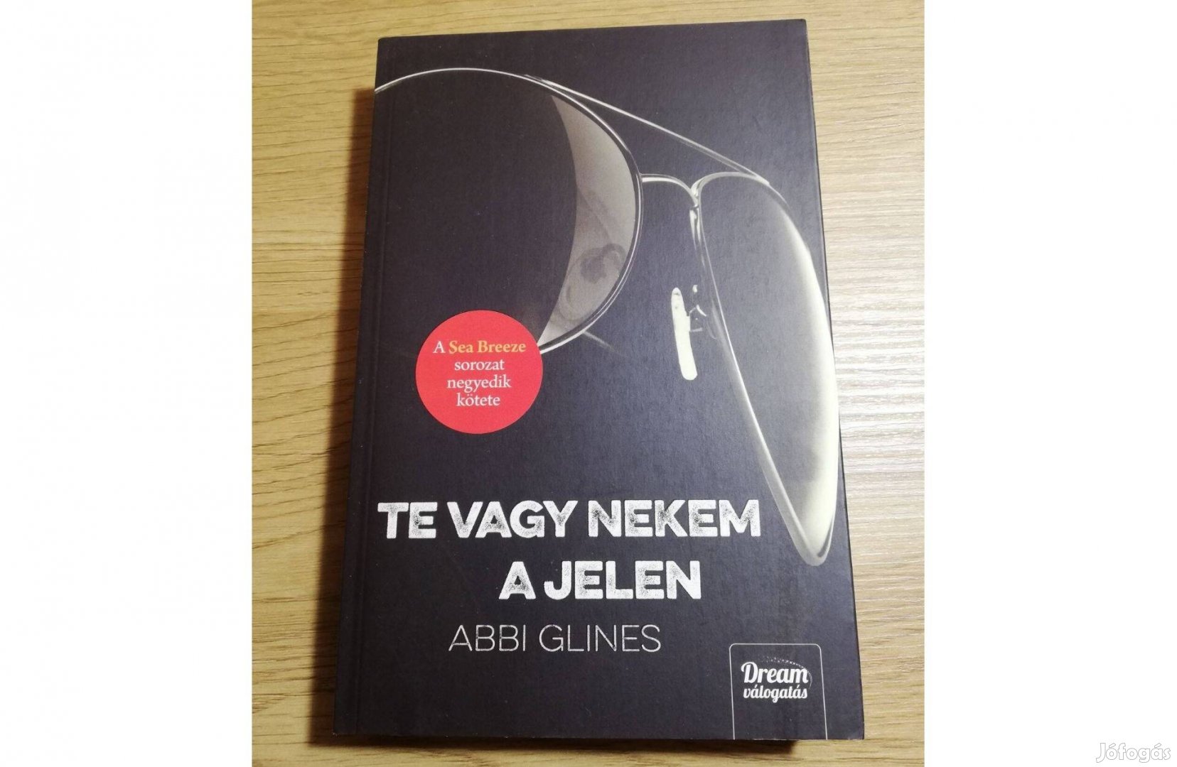 Abbi Glines: Te vagy nekem a jelen