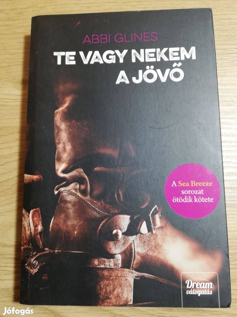Abbi Glines: Te vagy nekem a jövő